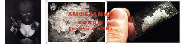 стаф Алзамай
