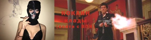 стаф Алзамай