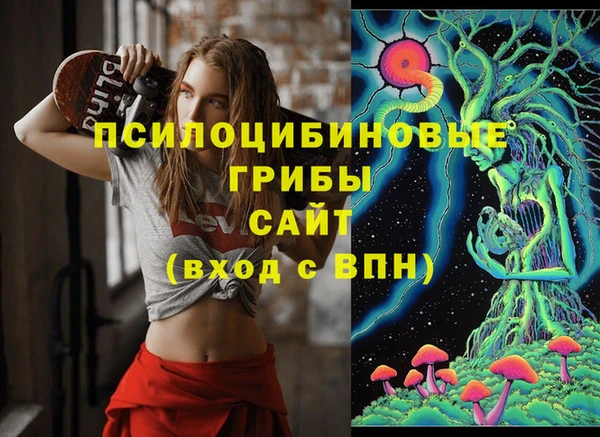 стаф Алзамай