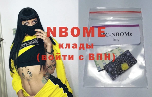 стаф Алзамай