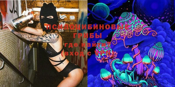 стаф Алзамай
