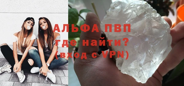 стаф Алзамай