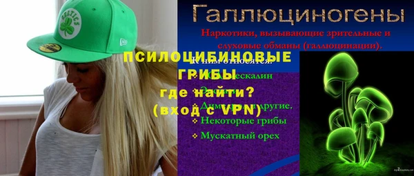 крисы Алексин