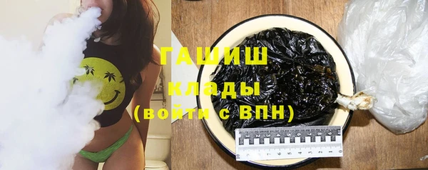 стаф Алзамай