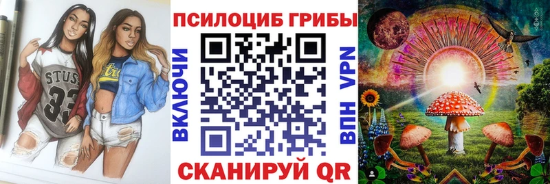 купить закладку  Балашиха  Псилоцибиновые грибы мицелий 