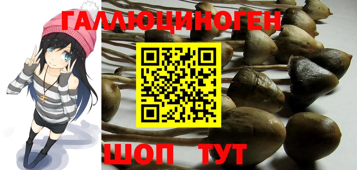 Псилоцибиновые грибы GOLDEN TEACHER  Вход с VPN  Балашиха 